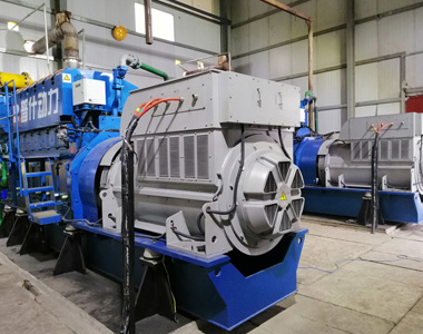 丰都甘泰沼气发电项目配米兰网web站2台850KW/10.5KV6极高压发电机